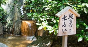 生田神社　池の立て札